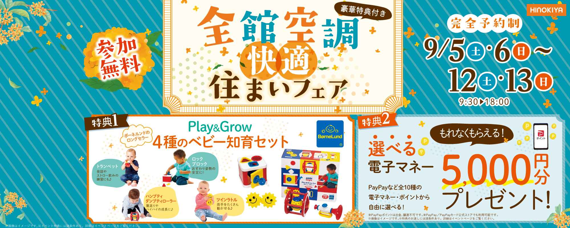 9/5～　桧家みのお